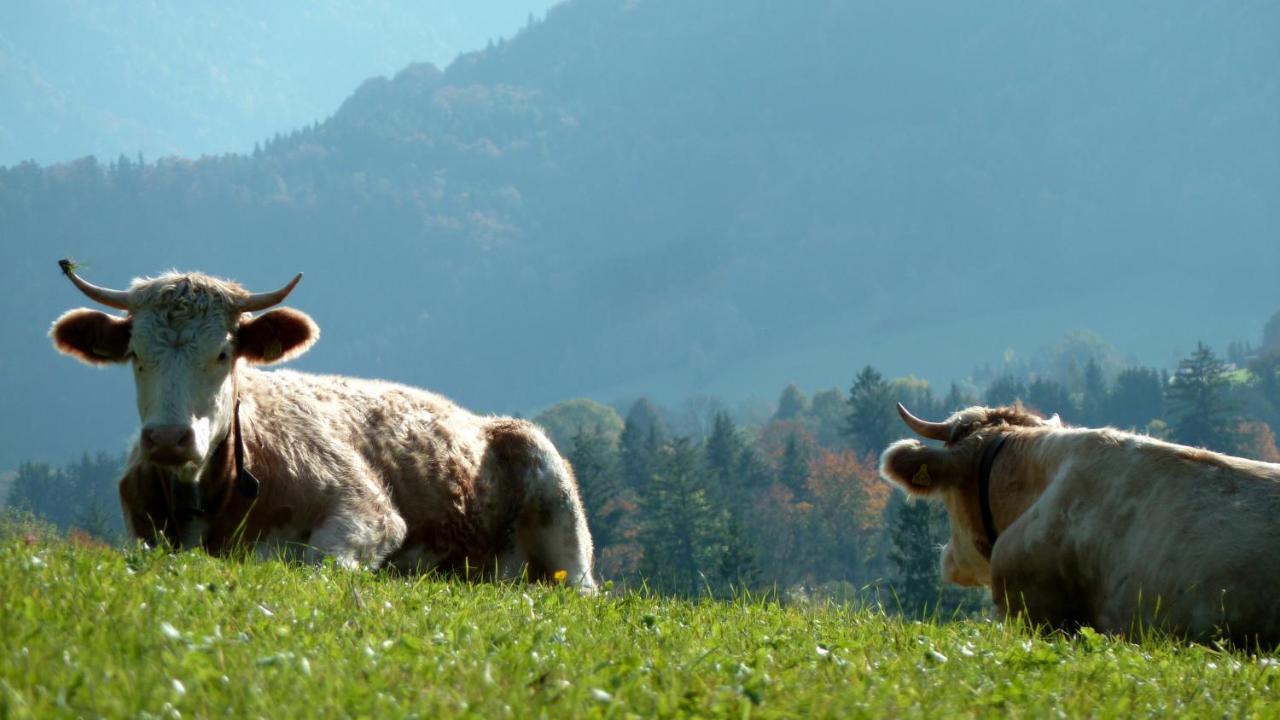 Ferienwohnungen Monika Kloiber Ruhpolding Buitenkant foto